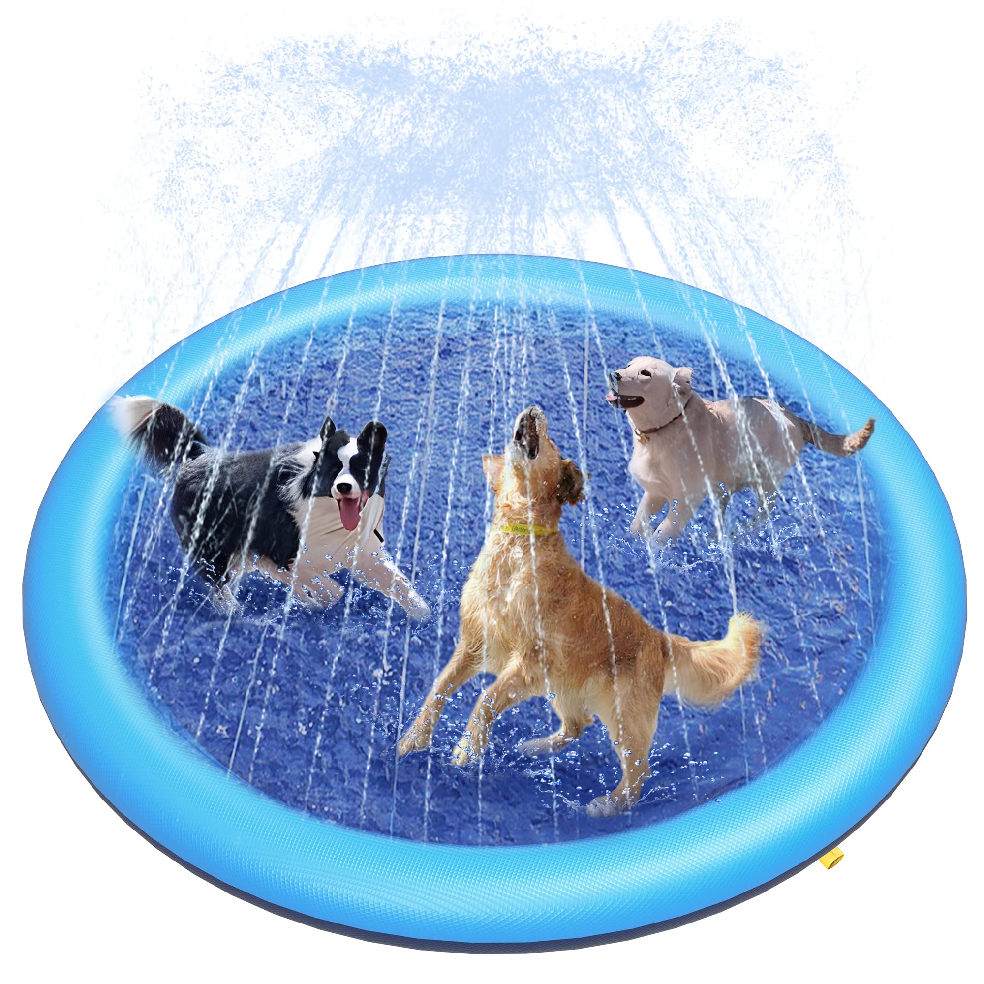 Slip Slide Water Mat - Tapete de Água para Cães com