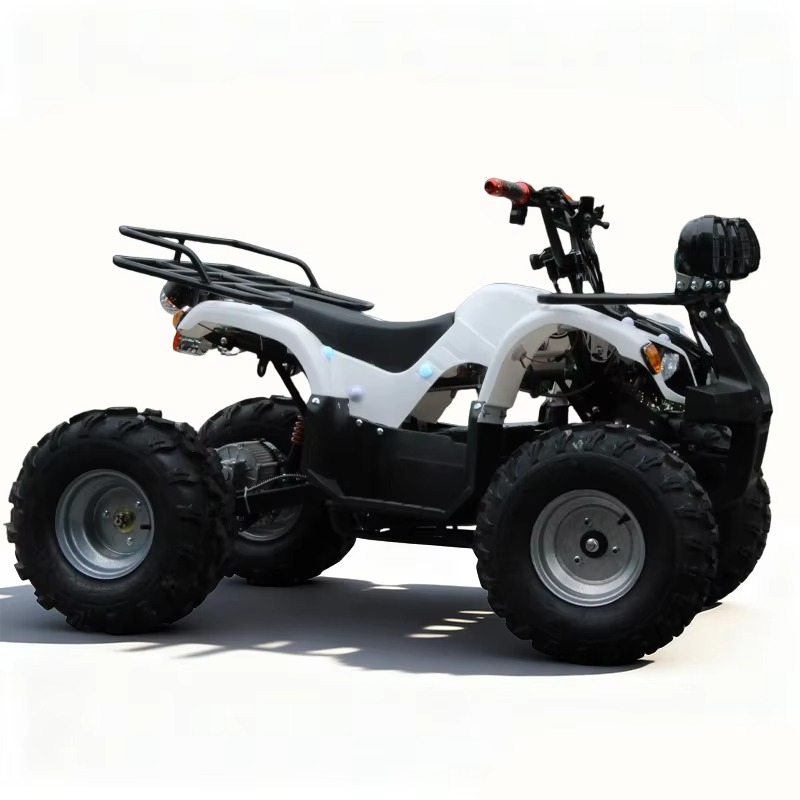 Kids Outdoor Quad Bike - Quadriciclo Elétrico Infantil 750W 48V, Mini